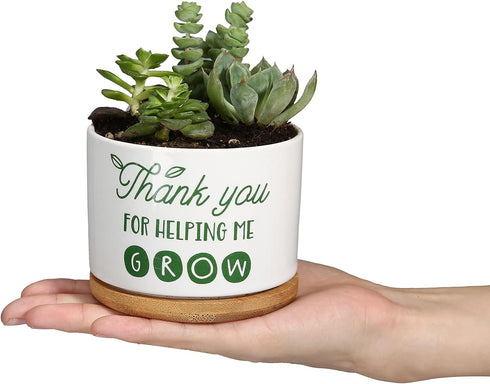 Ceramic Succulent Plant Pot - Teacher Appreciation Gift